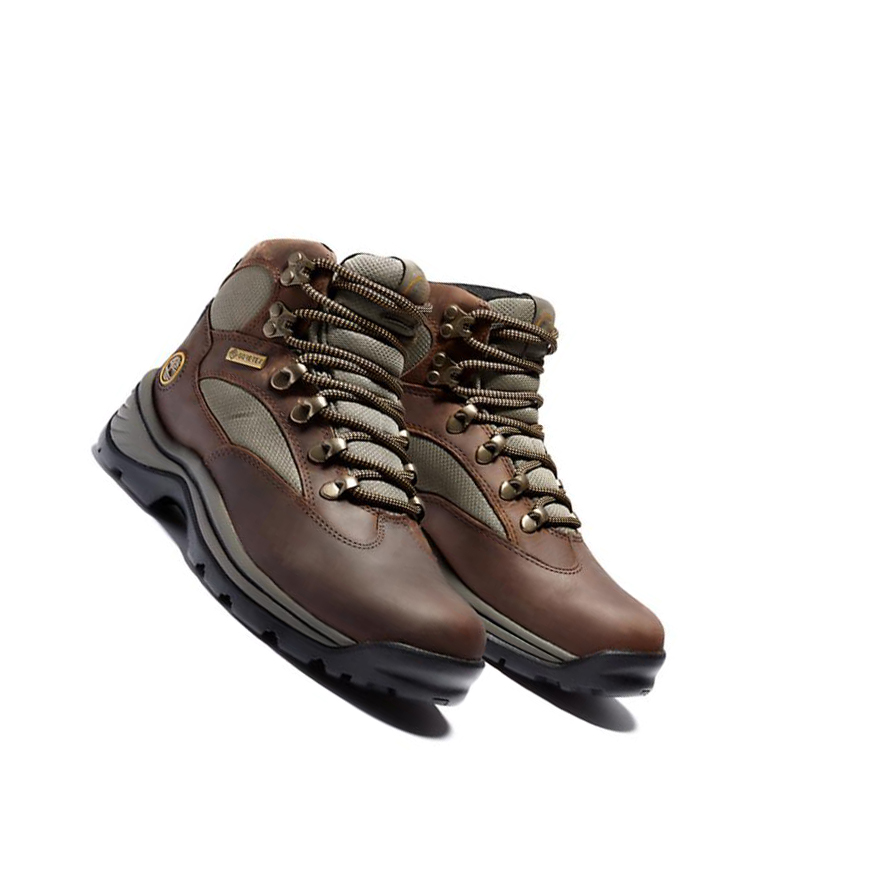 Women's Timberland Chocorua Gore-Tex® Hiker Hiking Boots Brown | LGV-580934