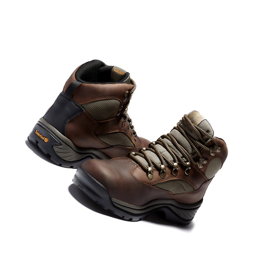 Women's Timberland Chocorua Gore-Tex® Hiker Hiking Boots Brown | LGV-580934