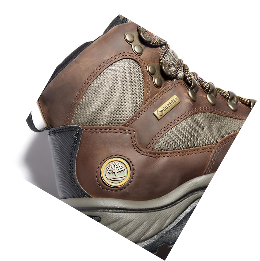 Women's Timberland Chocorua Gore-Tex® Hiker Hiking Boots Brown | LGV-580934