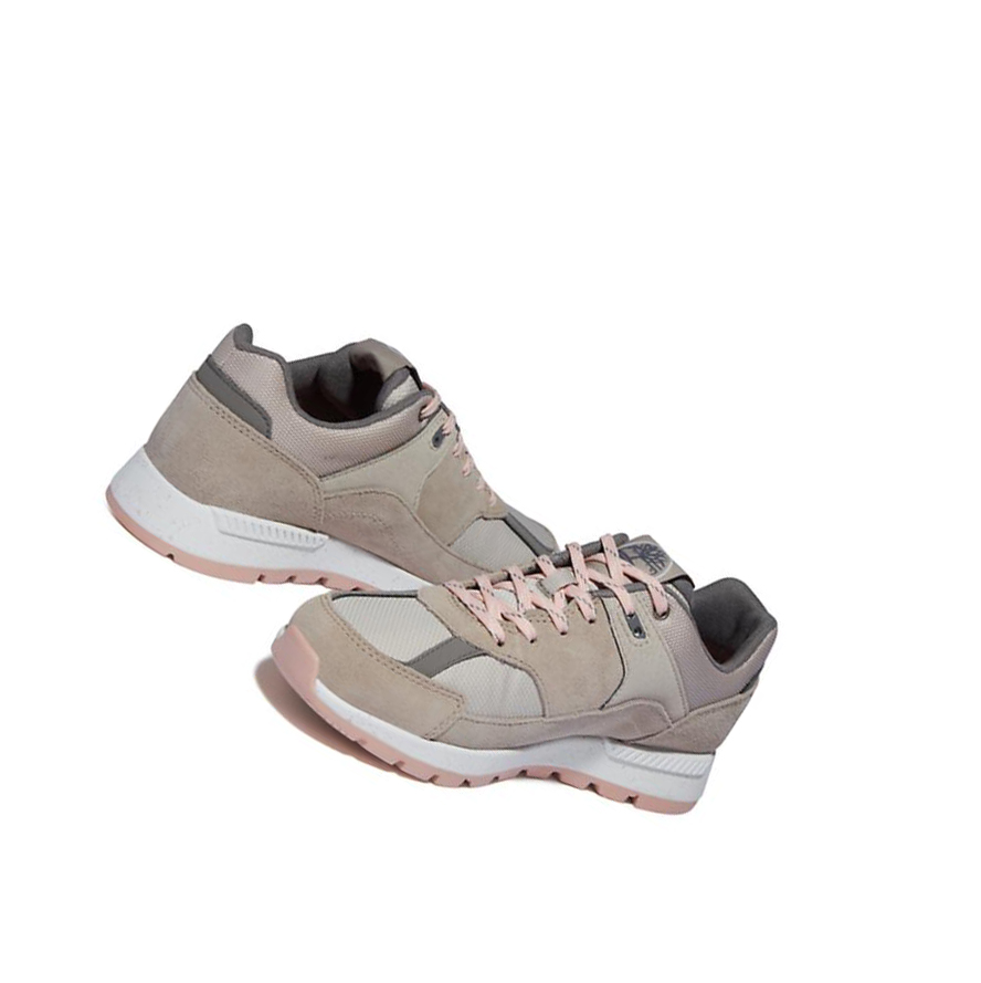 Women's Timberland Field Trekker Sneakers Beige | SMC-658247