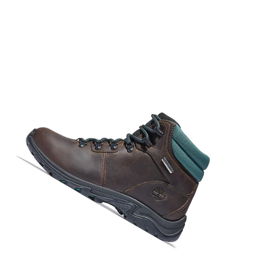 Women's Timberland Mount Maddsen Hiker Winter Boots Dark Brown | VZO-083517