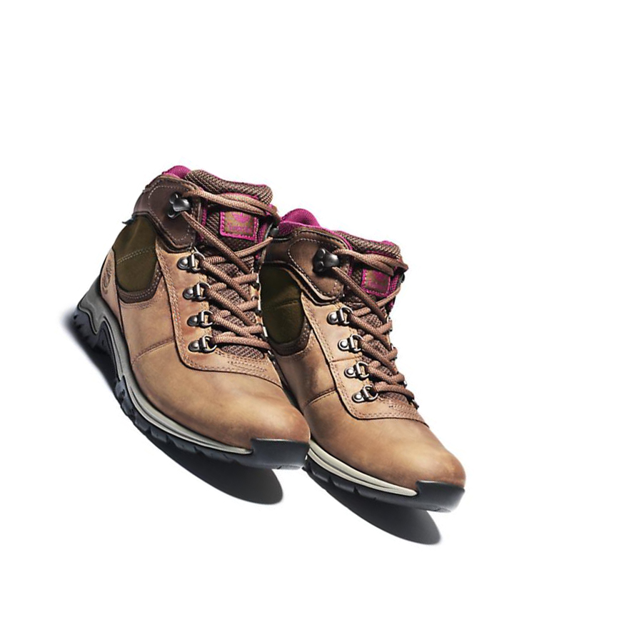 Women's Timberland Mt. Maddsen Hiking Boots Brown | YAV-548029