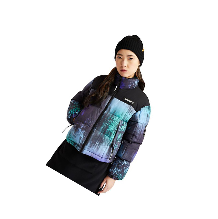 Women\'s Timberland NL Sky Puffer with Aurora Print Parka Jackets Black | CTM-126487