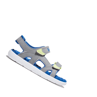 Kids' Timberland Perkins Row 2-Strap Youth Sandals Grey | AFB-306579