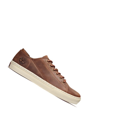 Men's Timberland Adventure 2.0 Sneakers Brown | GLS-294513