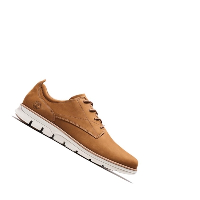 Men's Timberland Bradstreet Casual Shoes Brown | CDA-472356