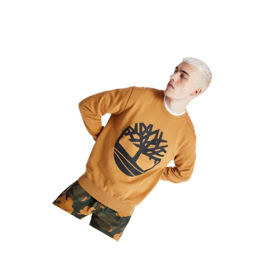 Men's Timberland Core Tree Logo Sweatshirt Yellow | SHU-905746