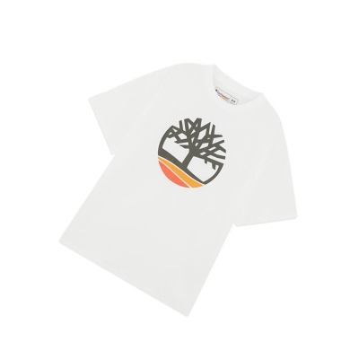 Men's Timberland Earthkeepers® by Raeburn All Gender Logo T Shirts White | GEN-125804