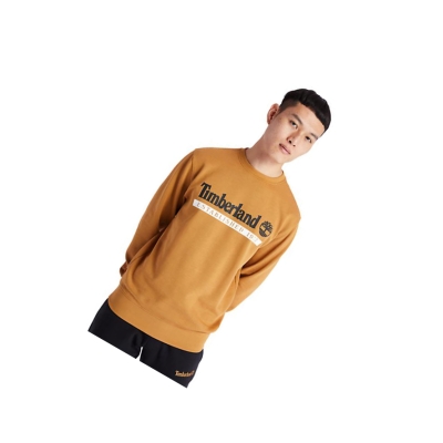 Men's Timberland Established 1973 Crew Sweatshirt Yellow | QXR-708962