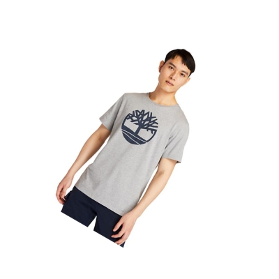 Men's Timberland Kennebec River Tree Logo T Shirts Grey | WMZ-801436