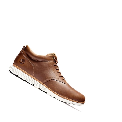 Men's Timberland Killington Oxford Sneakers Brown | FQN-312759