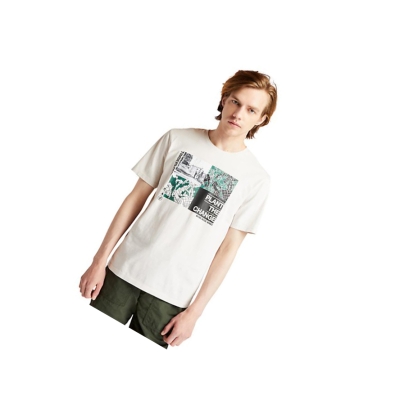 Men's Timberland Nature Needs Heroes™ Graphic T Shirts White | PAX-680123