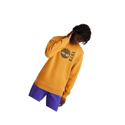 Men's Timberland Re-Comfort EK+ Sweatshirt Yellow | FNI-560487