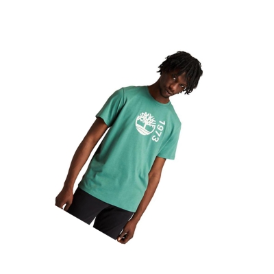 Men's Timberland Re-Comfort EK+ T Shirts Green | VSJ-406175