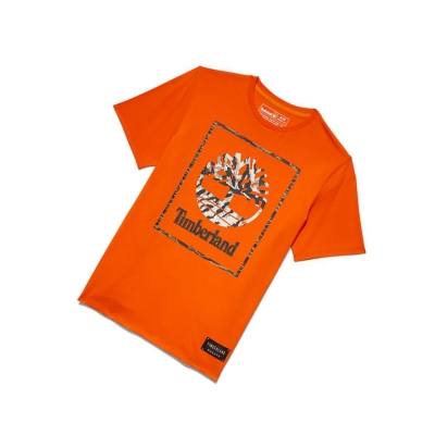 Men's Timberland Year of the Tiger T Shirts Orange | YCV-914270